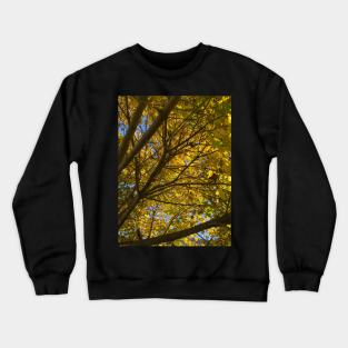 Up a Tree in Autumn Crewneck Sweatshirt